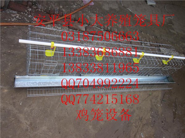 鸡笼鸽笼兔笼雏鸡笼小鸡笼蛋鸡笼母兔笼獭兔笼肉兔笼狐狸笼貉子笼