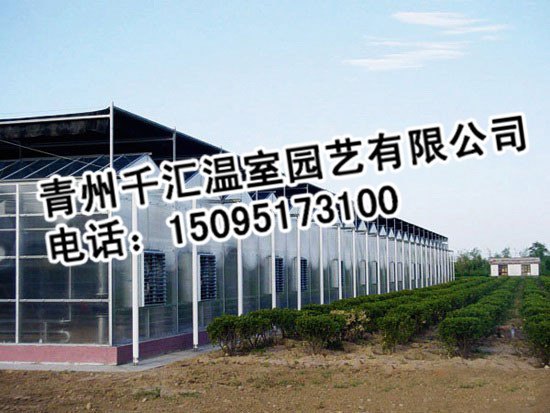 潍坊价位合理的玻璃连栋温室·厂家直销——玻璃连栋