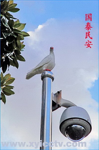 监控设备-兴沂电子