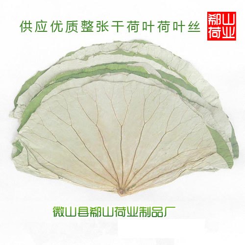 荷叶茶价格产地微山湖