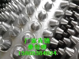 吕梁防穿刺阻根板/晋城塑料滤水板规格