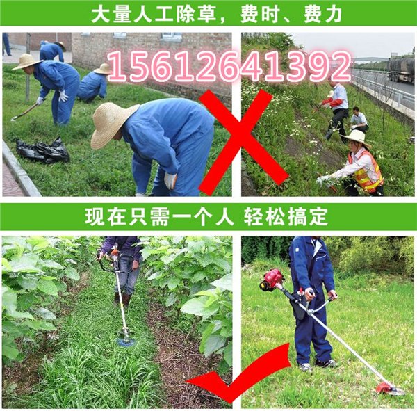 电动小型果树割草机割枝机割杂草机价格
