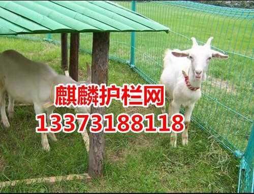 养殖护栏网 无锡护栏网价格