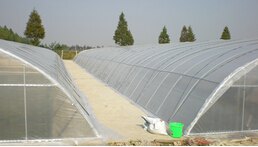 农用薄膜企业 最好的农用薄膜首选科伦塑料