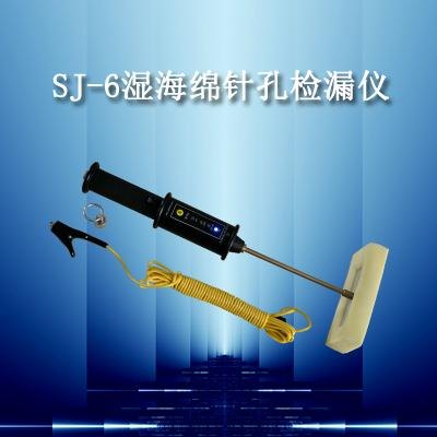 针孔检漏仪生产厂家