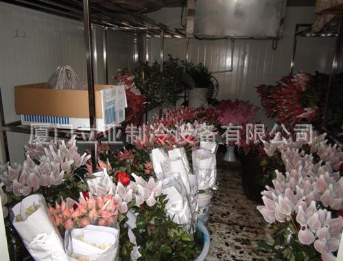 厦门鲜花保鲜库   漳州鲜花冷藏库