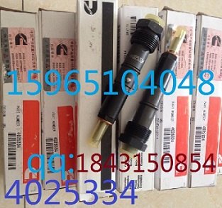 6B5.9喷油器/ ISBE喷油器4025334 河北康明斯服务站在哪