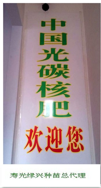 寿光绿兴种苗