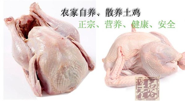 乡旮旯火鸡_优质火鸡厂家
