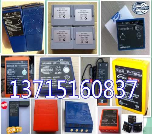 BA209061德国HBC遥控器电池原装正品