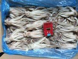 优质材质鱿鱼头