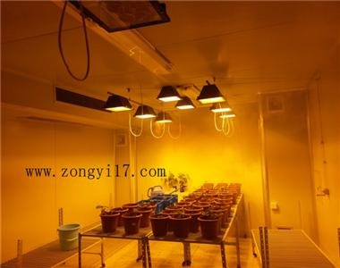 顶置光源人工气候室|长沙综仪生物仪器