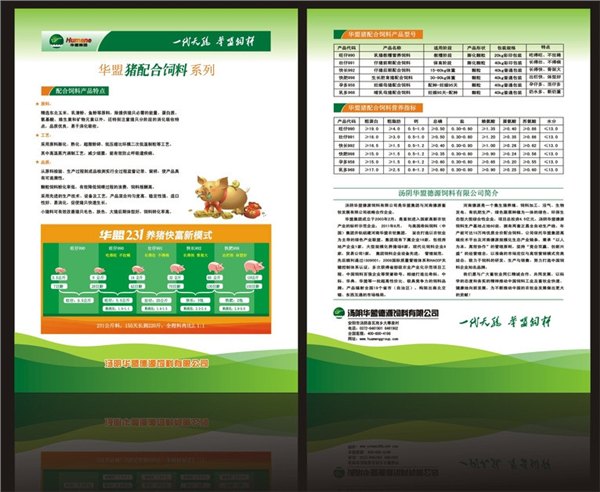 高品质高标准，济南宣传单页专业设计批量印刷厂家专