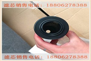 多明尼克系列滤芯K145-AAR K058-AO品牌企业