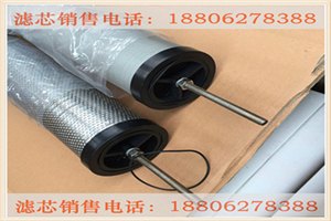 意大利海沃斯精密滤芯S090 S004品质之选