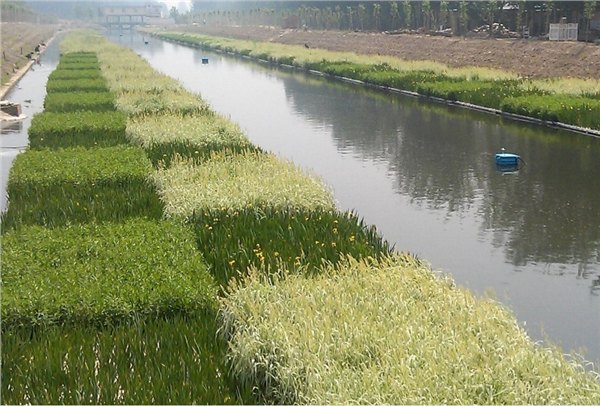生物浮床 植物浮床 人工浮床 水生植物浮床 生态