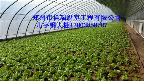 商丘蔬菜大棚建设厂家周口几字钢大棚大棚骨架日光温室建造