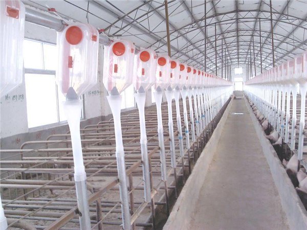 养猪设备价格 弘昌自动料线养猪设备批发