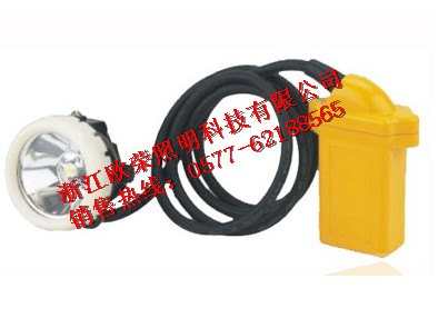 供应BAM840LED便携式防爆工作灯