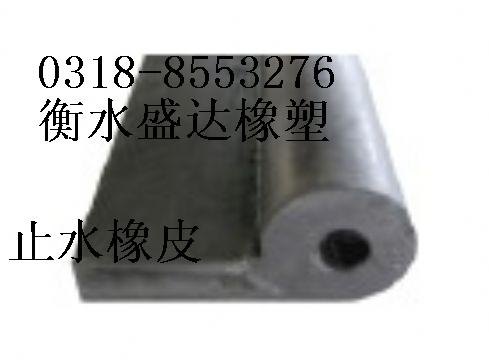 厦门 盛达橡塑闸门水封以价格撬动市场价格实惠
