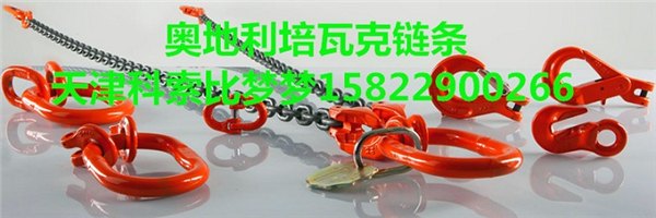 天津哪里的培瓦克链条价格价格便宜？