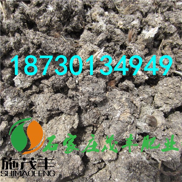 新疆价格划算的干鸡粪块供应 茂丰肥业