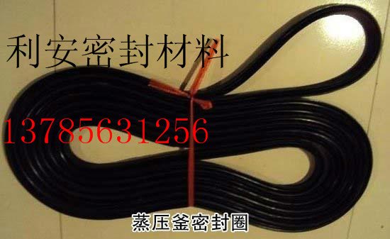 攀枝花哪里有卖蒸压釜密封圈-1378563125