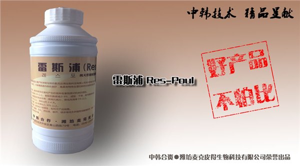 鸡价低迷养殖户叫苦不迭 看看他们使用“雷斯浦”的