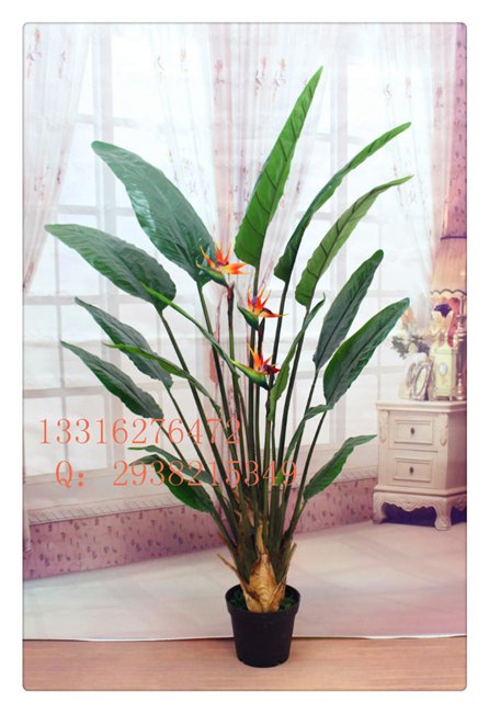 仿真天堂鸟 大量现货销售 季末特价优惠 假天堂鸟
