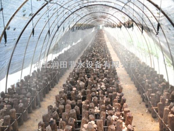 河北邢台优质雾化微喷头，高效节水，使用寿命长