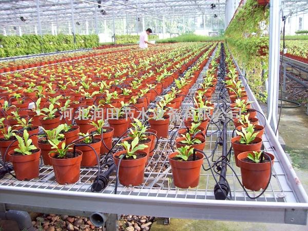 河北蔬菜水果种植专用一进四出滴箭套装
