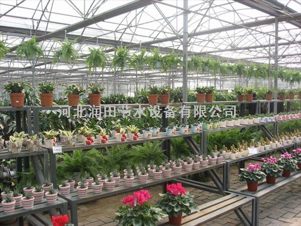 河北蔬菜水果无土栽培滴灌/供应滴箭系统
