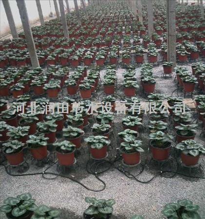 河北蔬菜水果无土栽培一进二出滴箭套装