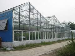 玻璃板温室【建造 造价 建设】有需要找利广