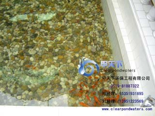 南京市别墅鱼池水净化