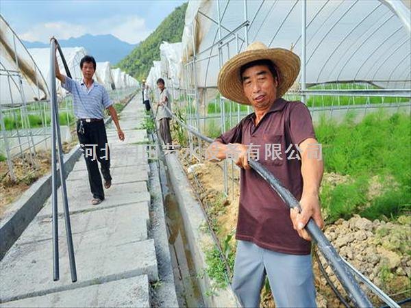 河北大棚滴灌带在哪里买？