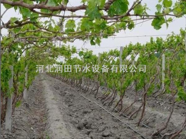山东大棚滴灌带哪家比较好？