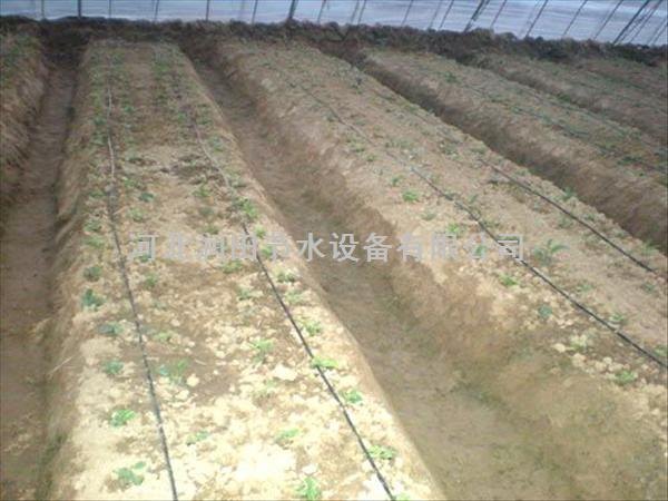 河北滴灌带 首选河北润田