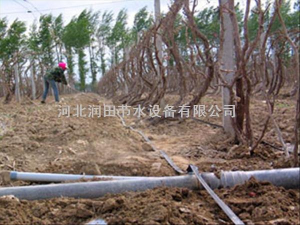 河北滴灌带哪家质量好？