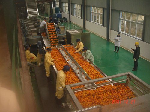 橙汁加工设备、橙汁加工生产线、橙汁生产线
