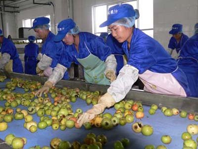 苹果汁加工设备、苹果汁生产线、苹果汁机械