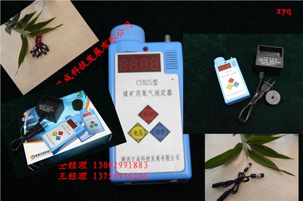 氧气精准测定器