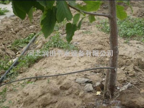 石家庄苹果节水灌溉，滴灌小管出流