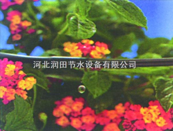 山西枣树滴灌设备在哪里买便宜？价格多少？