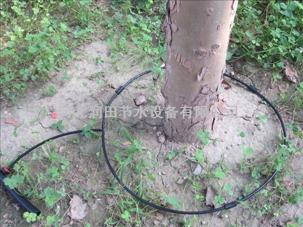 邢台果树最经济实惠的灌溉方式小管出流