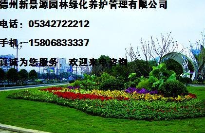 德州新景源园林绿化养护管理有限公司服务最全