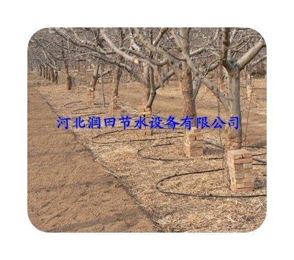 邯郸葡萄小管出流