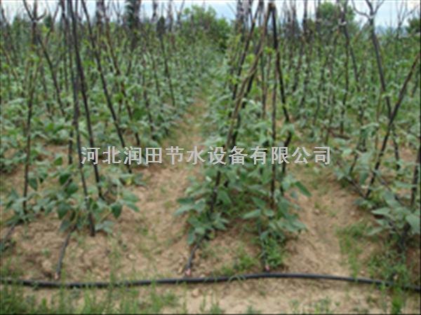 广东南雄果树滴灌优质滴灌带|价格