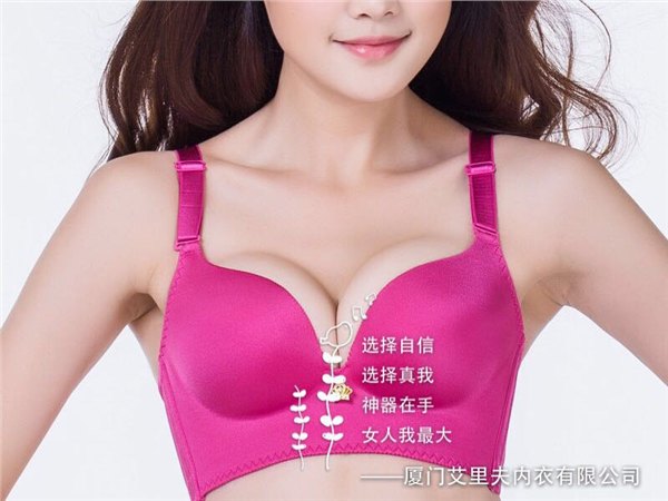 服装服饰内衣代理价格|厦门艾里夫内衣|无痕无钢圈内衣价格