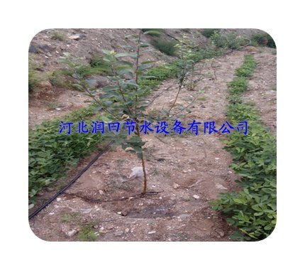 四川优质小管出流|厂家直销